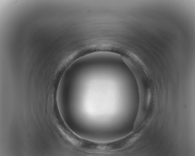 X0000081630493200701221257