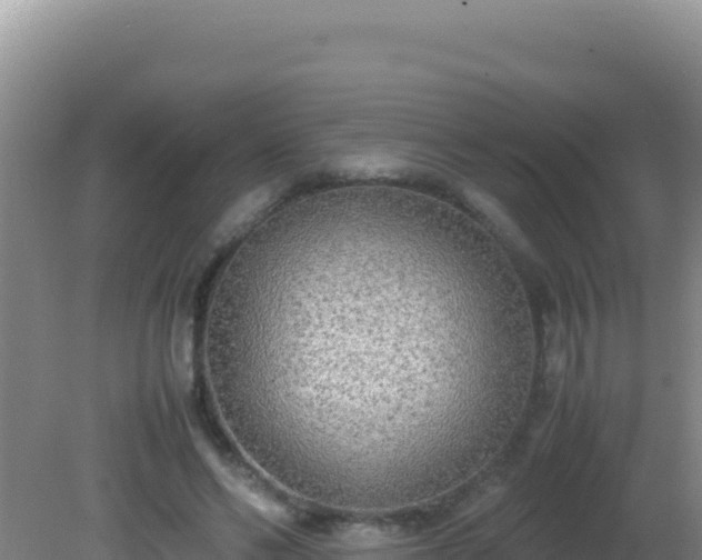 X0000081630494200701221257