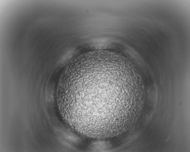 X0000081630499200701221257