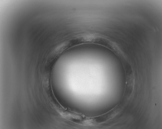 X0000081630505200701221257