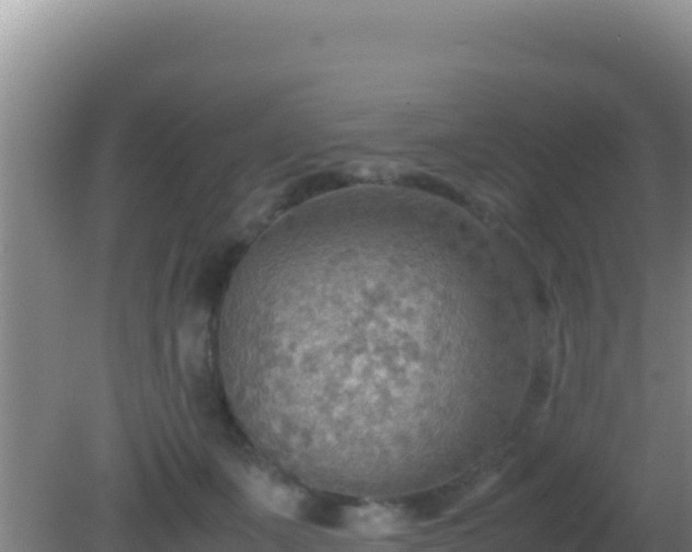 X0000081630511200701221257