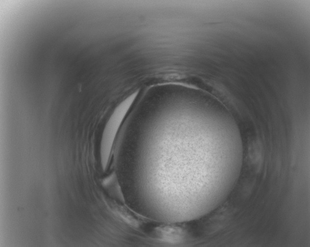 X0000081630512200701221257