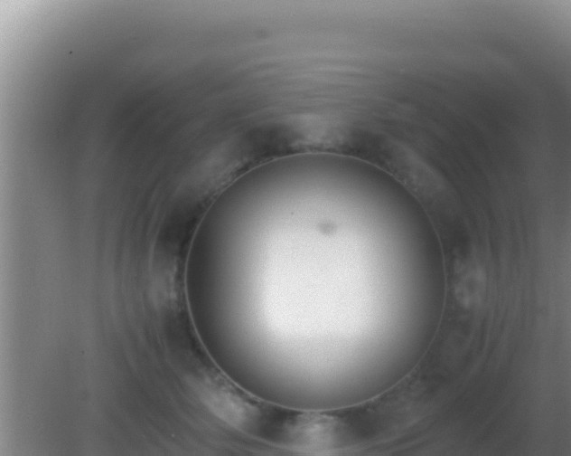 X0000081630514200701221257