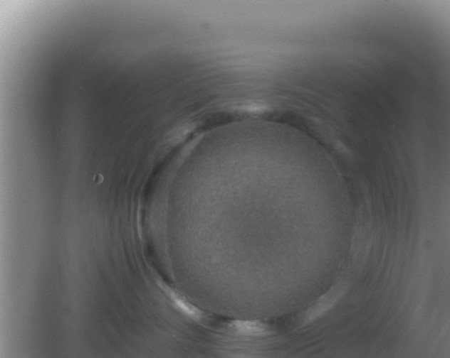 X0000081630528200701221257