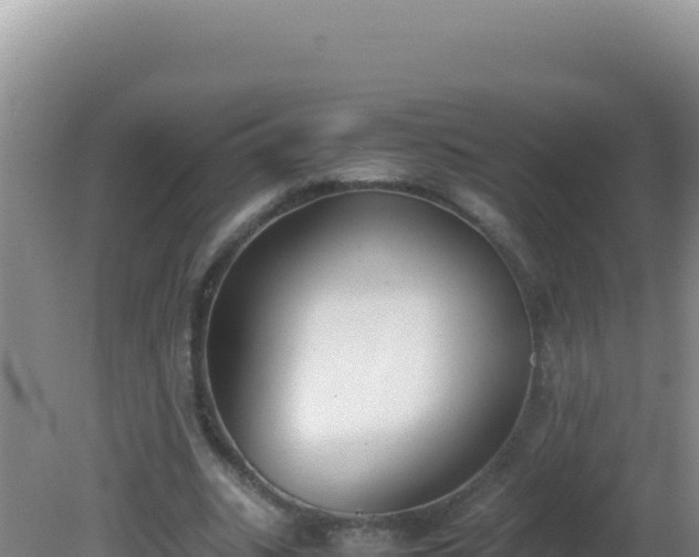 X0000081630535200701221256