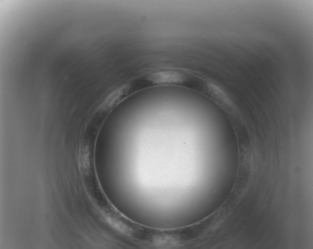 X0000081630549200701221256