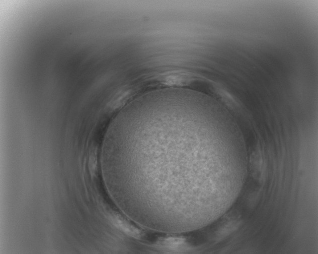 X0000081630554200701221257