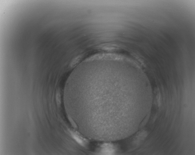 X0000081630562200701221257