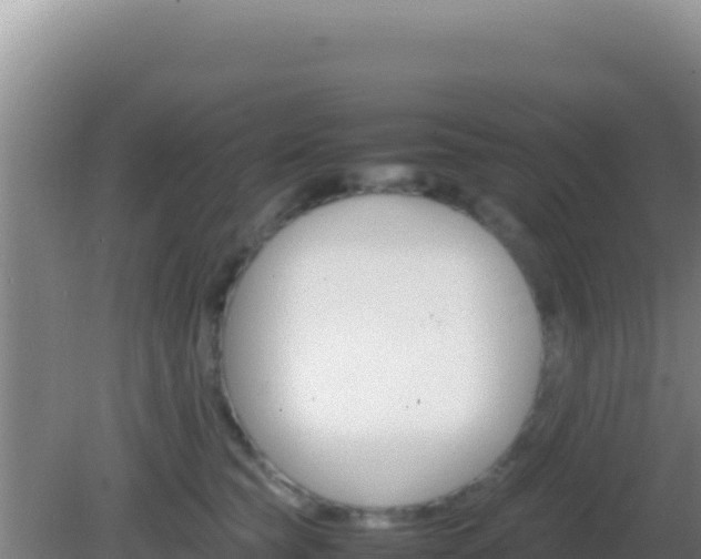 X0000081630565200701221257