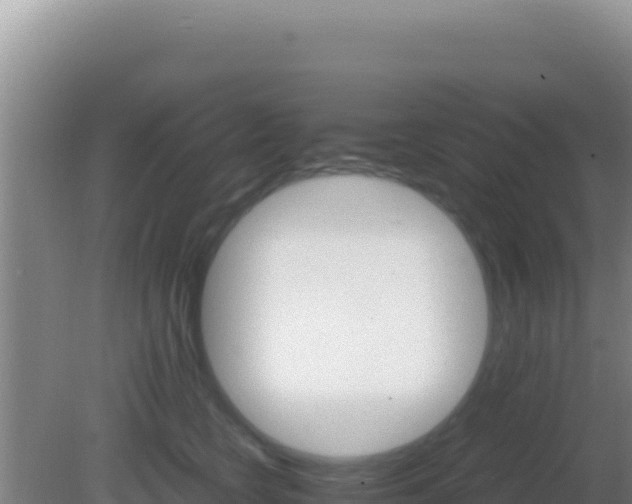 X0000081630566200701221257