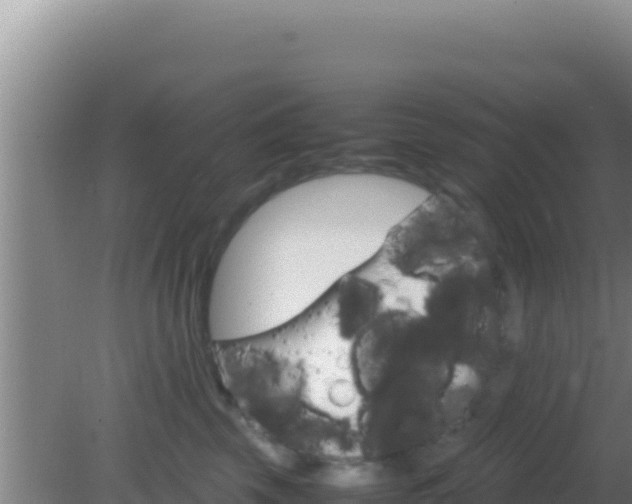 X0000081630569200701221257