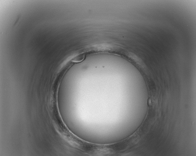 X0000081630583200701221256