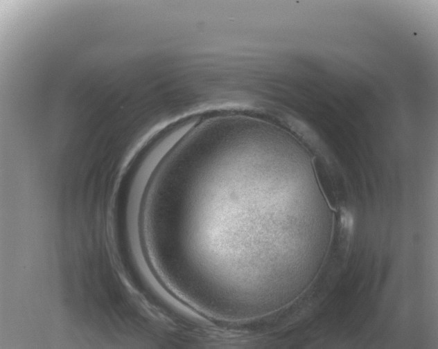 X0000081630676200701221254