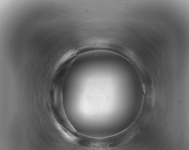 X0000081630677200701221254