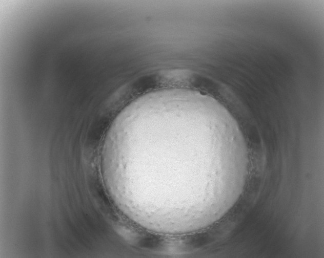 X0000081630701200701221254