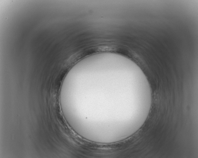 X0000081630741200701221253