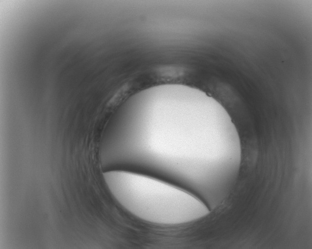 X0000081630758200701221254
