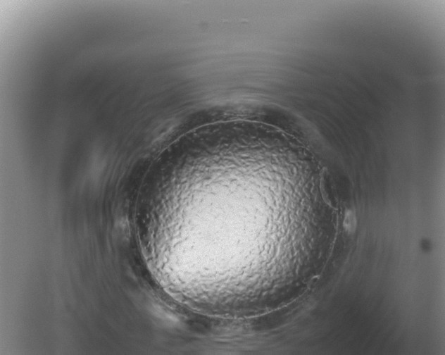 X0000081630771200701221253
