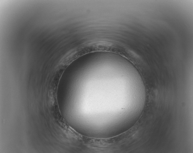 X0000081630774200701221253