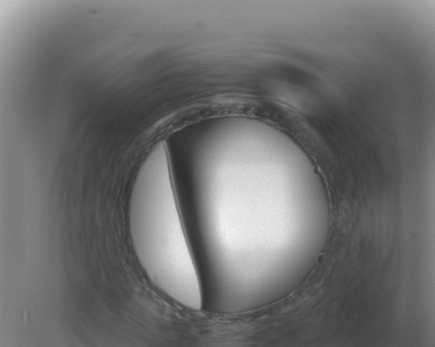 X0000081630821200701221251