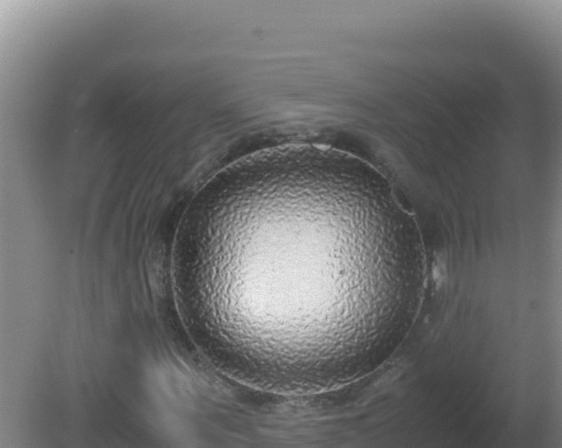 X0000081630867200701221251