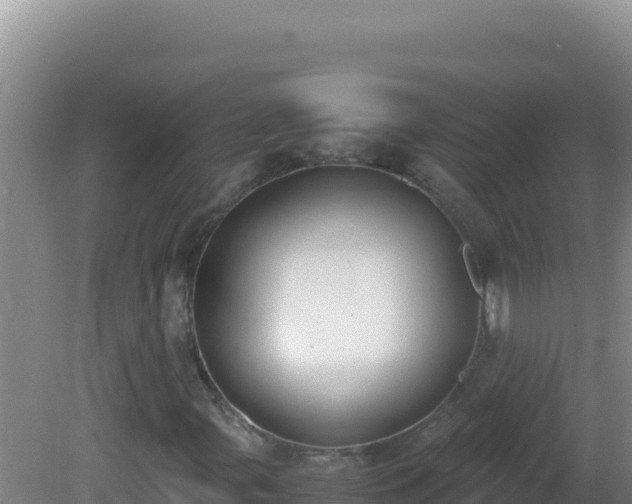 X0000081631107200701221246
