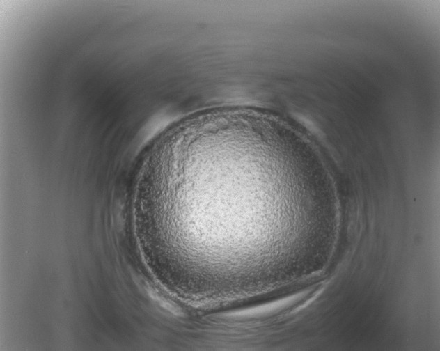 X0000081631163200701221246