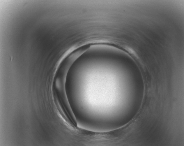 X0000081631181200701221246