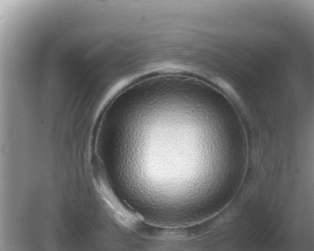 X0000081631183200701221246