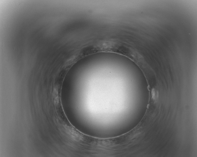X0000081631203200701221245