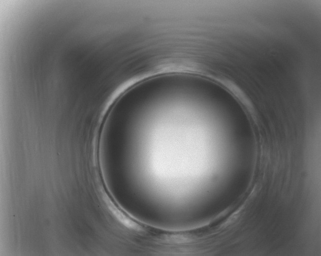 X0000081631246200701221246