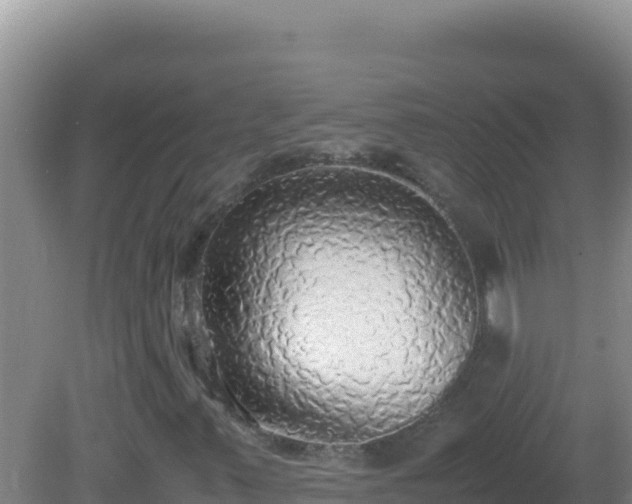 X0000081631347200701221243