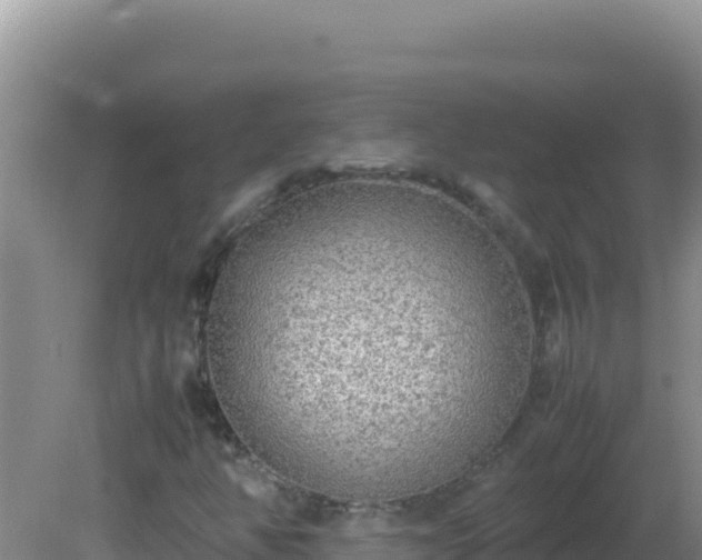 X0000081631350200701221243