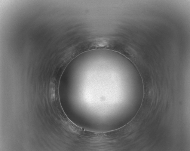 X0000081631442200701221242