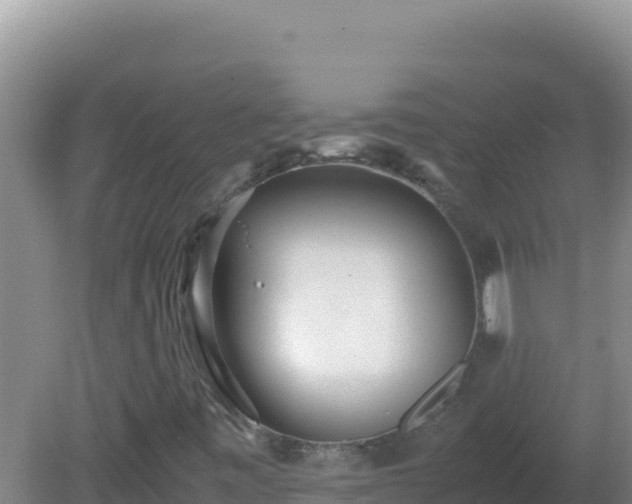 X0000081631443200701221242