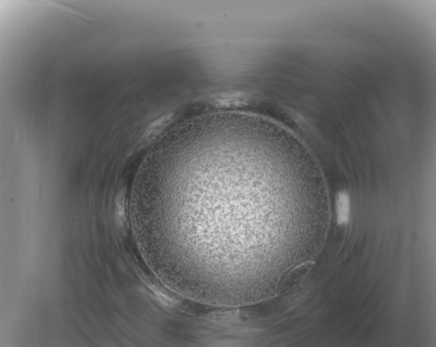 X0000081631444200701221242