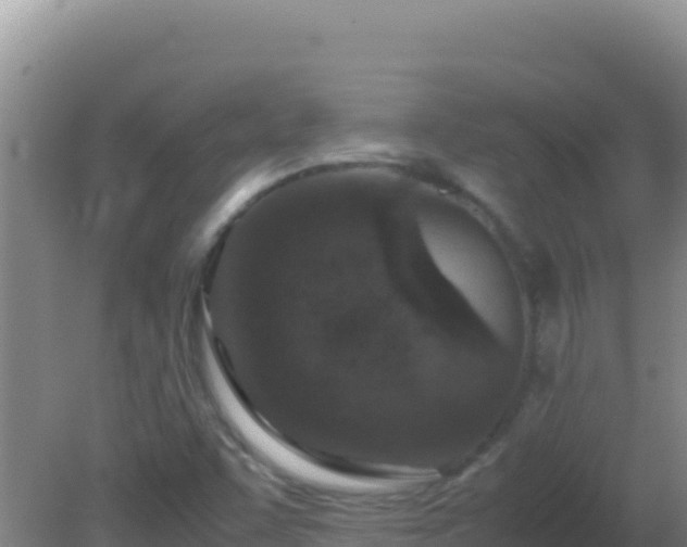 X0000081631455200701221241