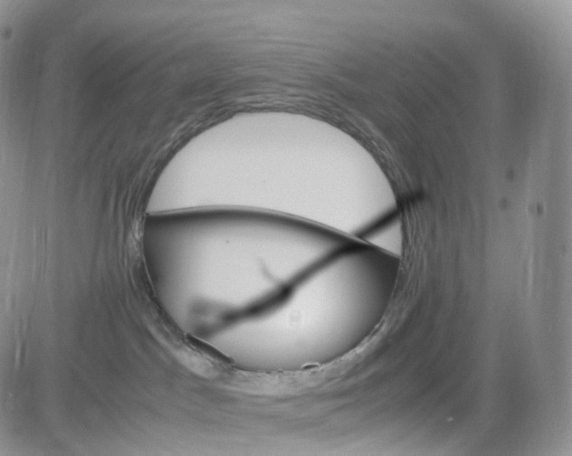 X0000081630045200701291332
