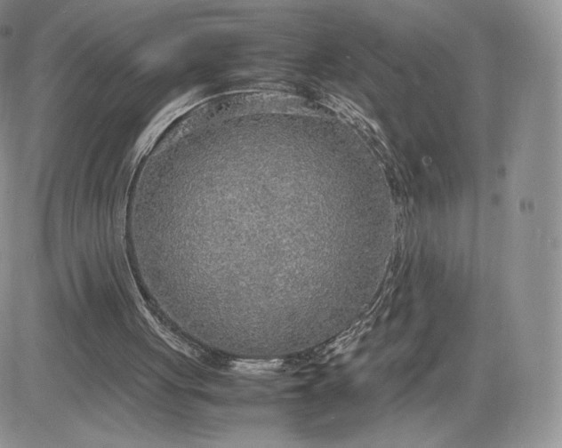 X0000081630051200701291332