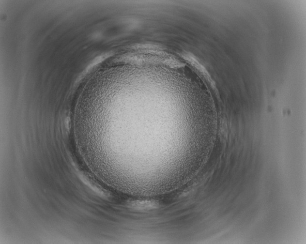 X0000081630063200701291332