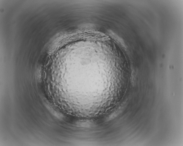 X0000081630065200701291332