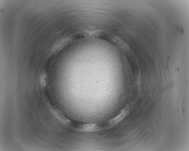 X0000081630090200701291332