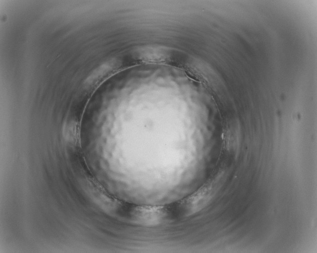 X0000081630093200701291332