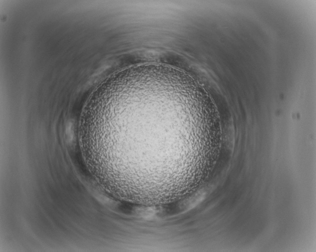 X0000081630131200701291331