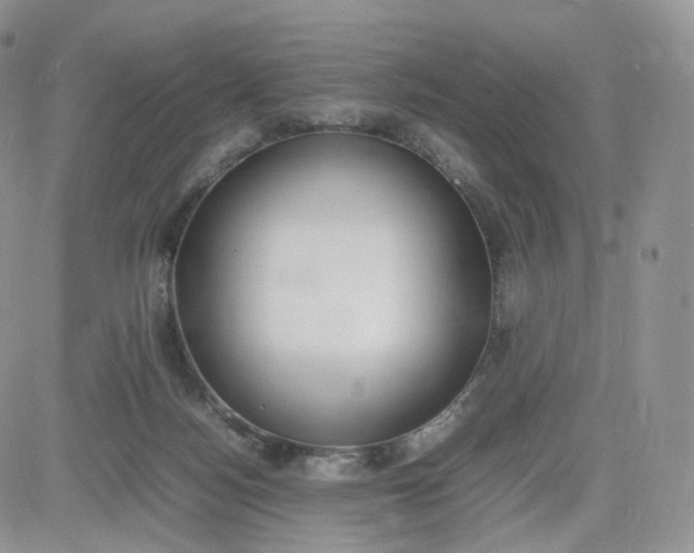 X0000081630172200701291330