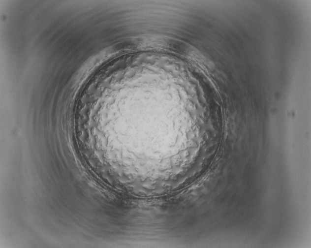 X0000081630241200701291328