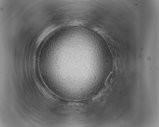 X0000081630242200701291328
