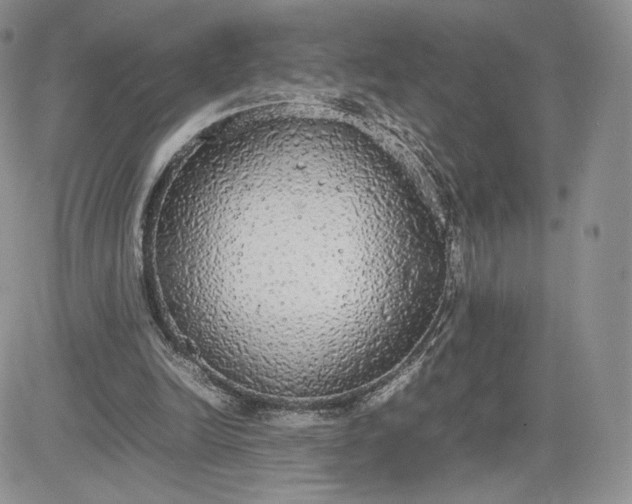X0000081630246200701291328