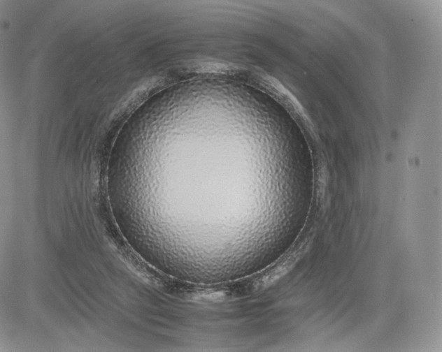 X0000081630257200701291329