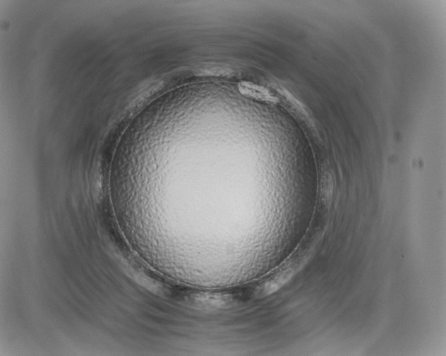 X0000081630261200701291329